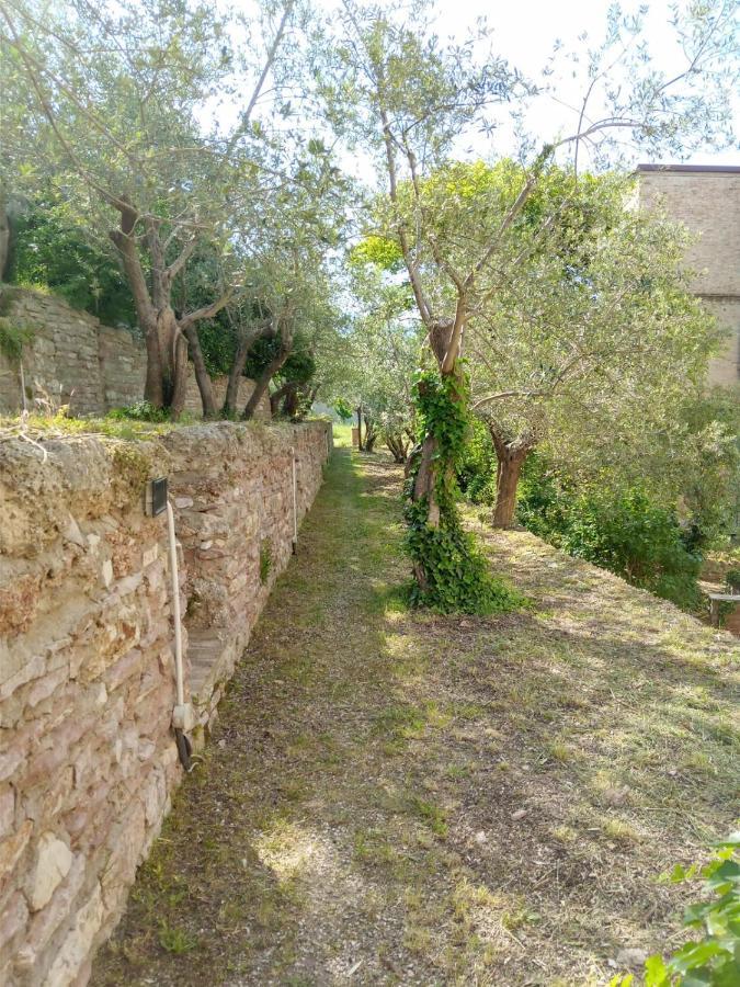 Residenza Messer Pajola Ασίζη Εξωτερικό φωτογραφία